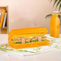 ظرف ساندویچ درخشان